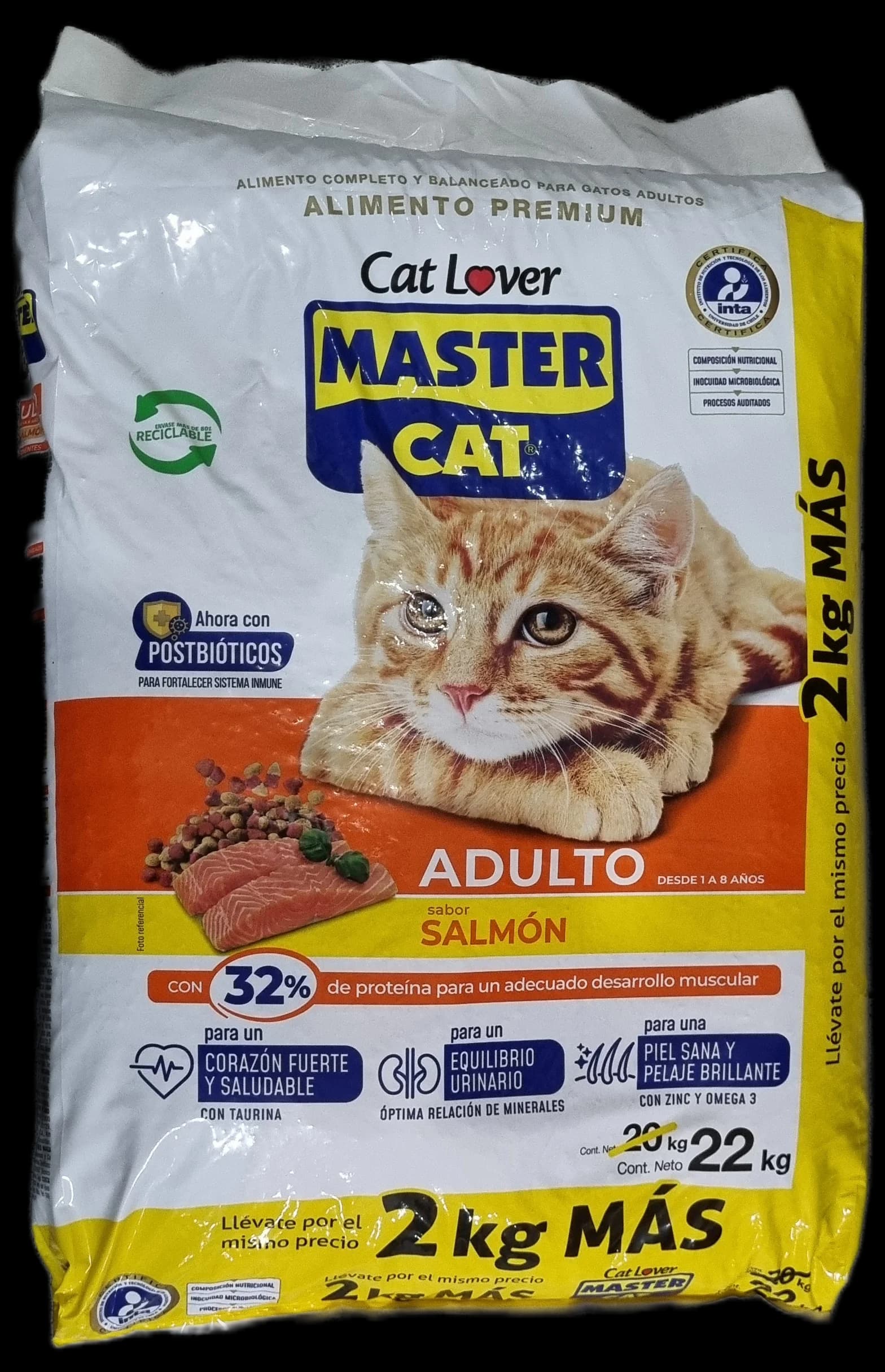 MASTER CAT AD SALMON 20+2 KG